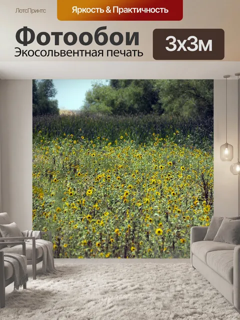 Фотообои подсолнух