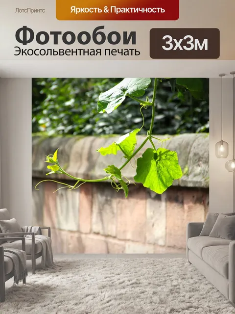 Фотообои Китайский язык