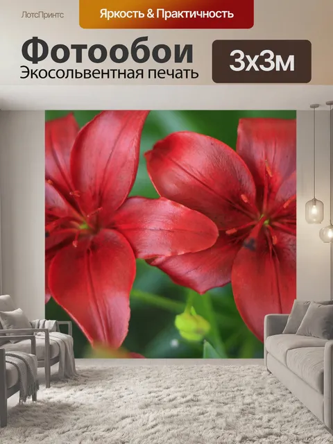 Фотообои Красный цветы лилии