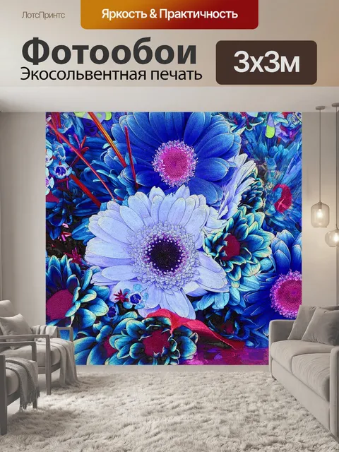Фотообои Синие хризантемы
