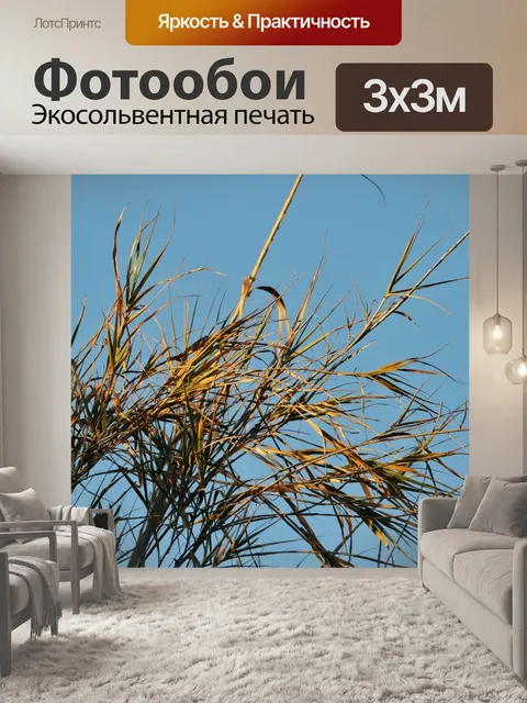 Фотообои Советы тростника