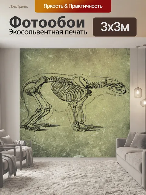 Фотообои скелет медведя
