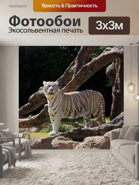 Фотообои Белый тигр