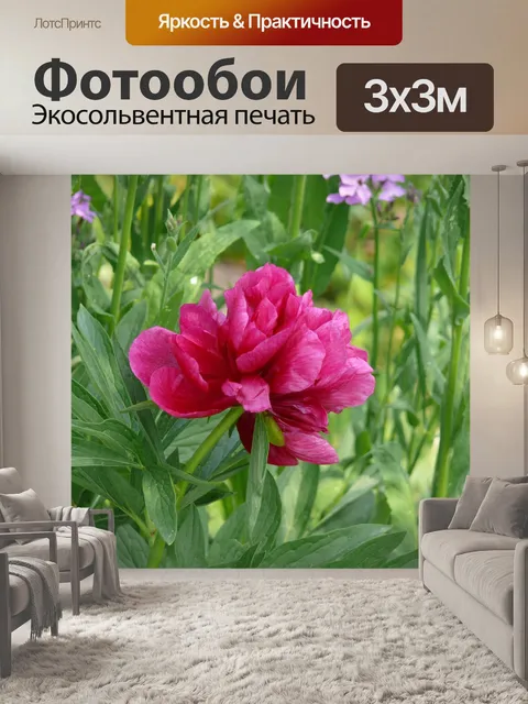 Фотообои Дача