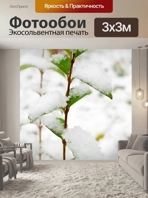 Фотообои снежные листья