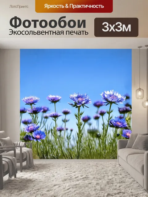 Фотообои на фоне синего неба васильки выглядят как крошечные