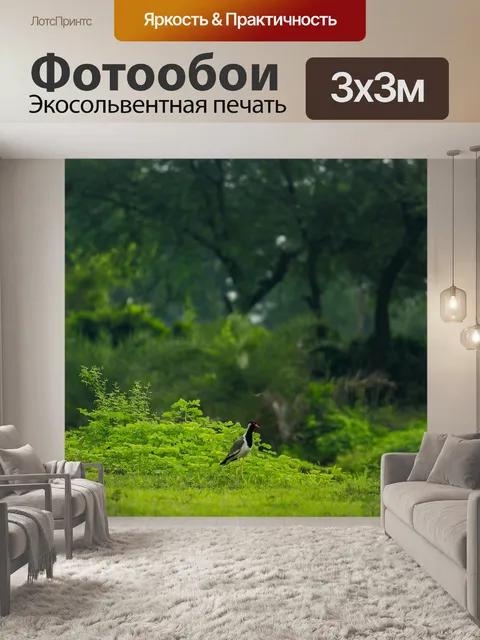 Фотообои Красивая птица