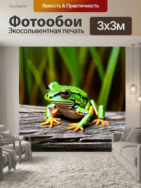 Фотообои крупный план зелёной лягушки