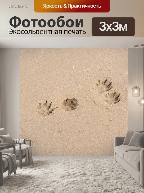 Фотообои Лапа собаки