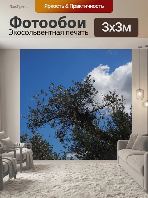Фотообои Ветка оливы