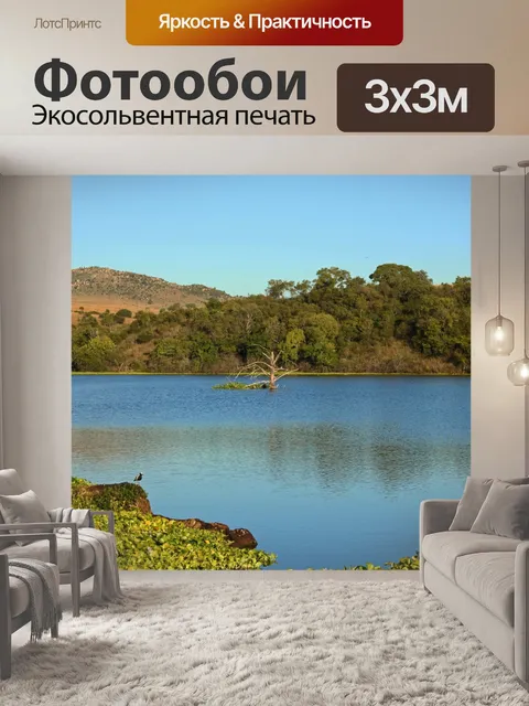 Фотообои мертвое дерево посреди плотины