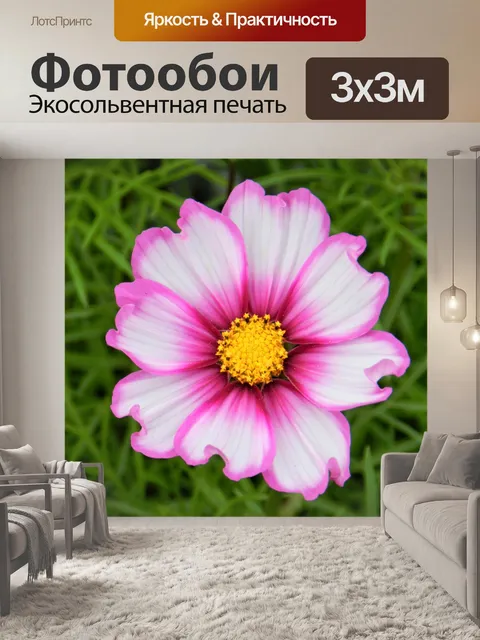 Фотообои Шипастый Космос 2019 - 3