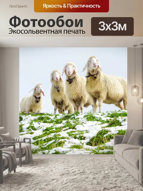 Фотообои Овец