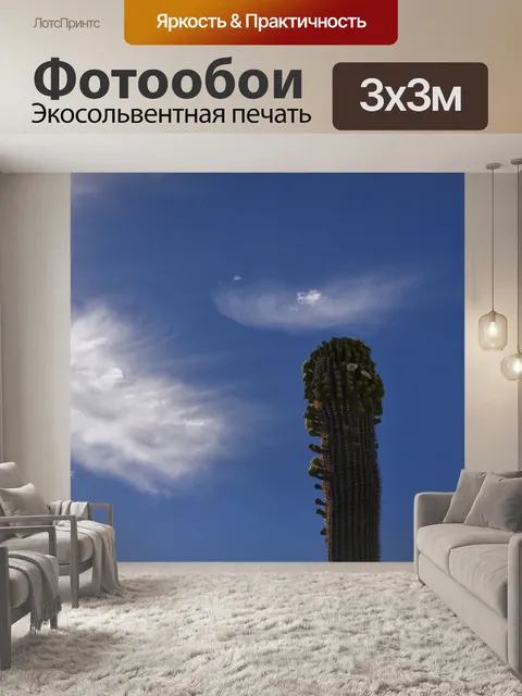 Фотообои Цветущий сагуаро кактус