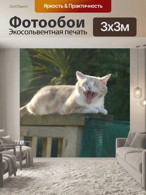Фотообои Кошка