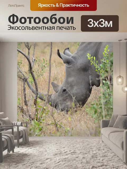 Фотообои Носорог