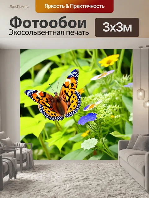 Фотообои бабочки