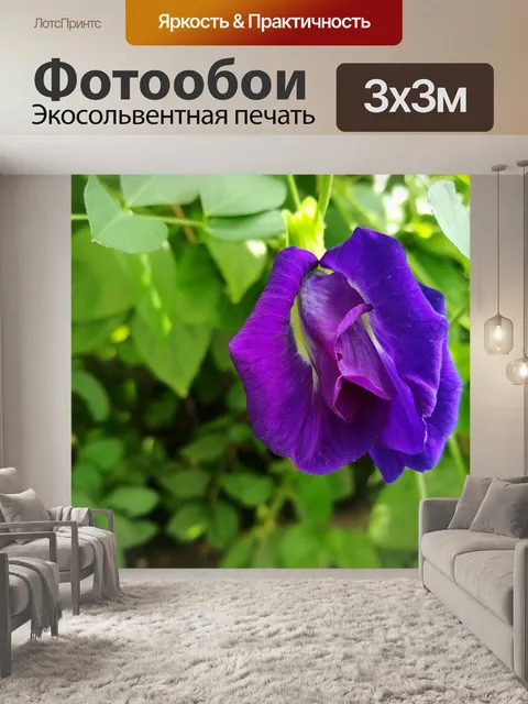 Фотообои Цветок