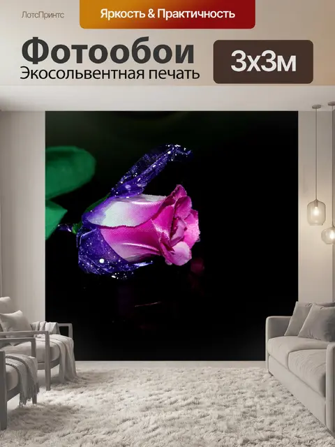 Фотообои фиолетовая роза
