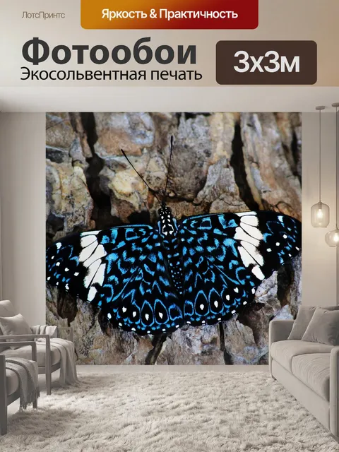 Фотообои Бабочка