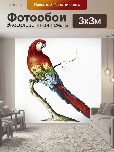 Фотообои Попугай какаду винтаж ара