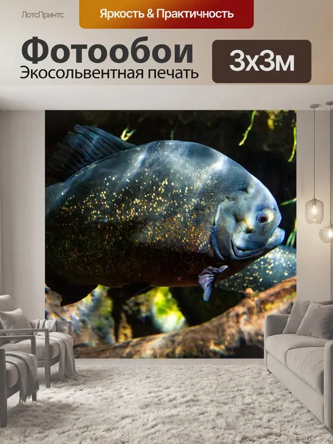 Фотообои Пиранья