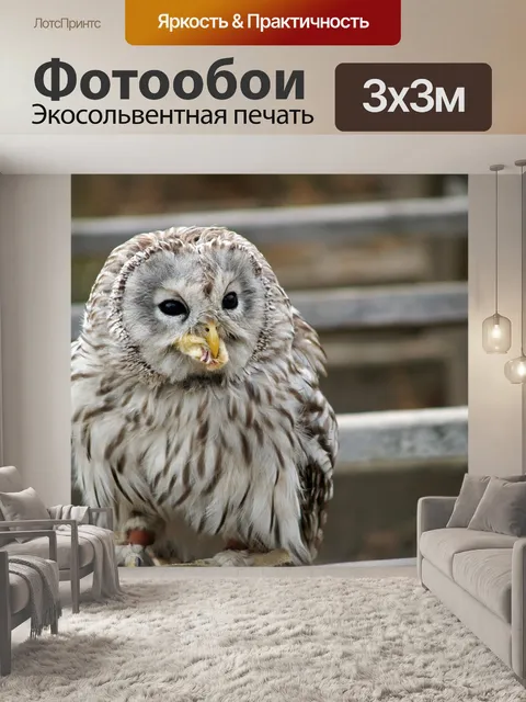 Фотообои Птица