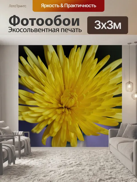 Фотообои Цветок