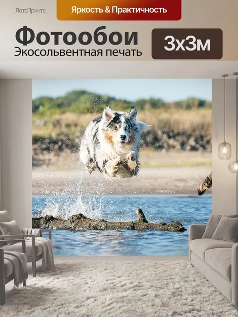 Фотообои Собака