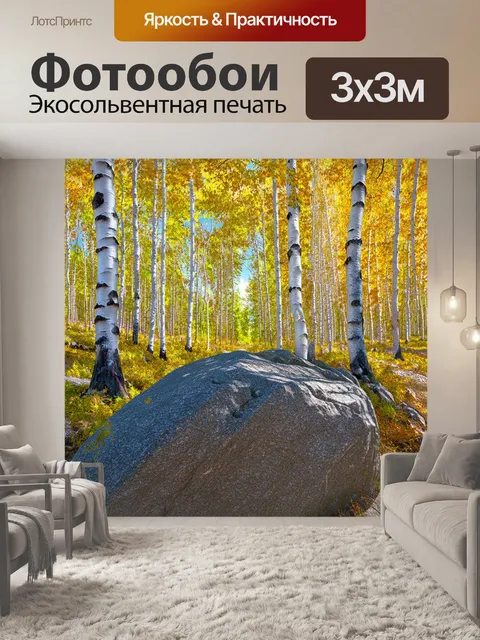 Фотообои камень, изображающие параллельные линии скал, которые растворяются вдали, проходящие среди берёз и осинок
