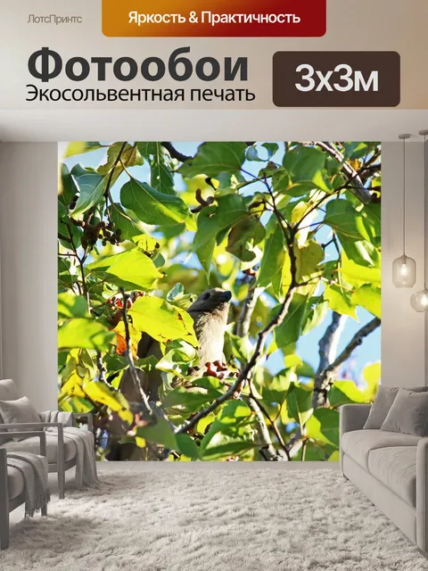 Фотообои Птица-мышь на дереве из японского изюма
