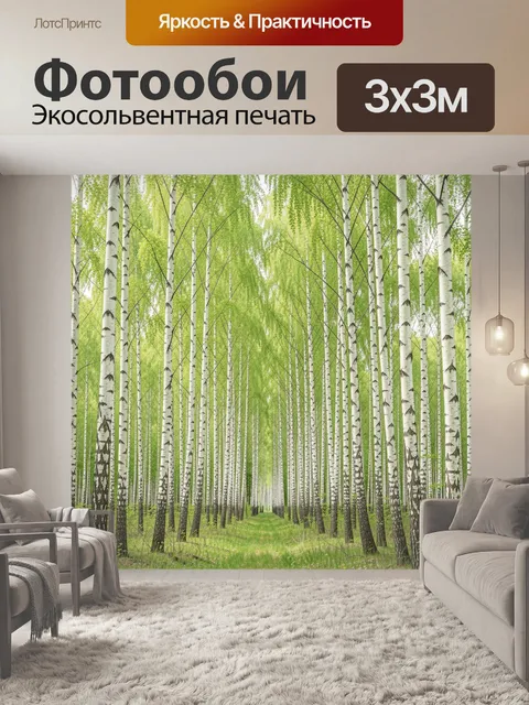 Фотообои Берёзовая аллея в зелёном лесу