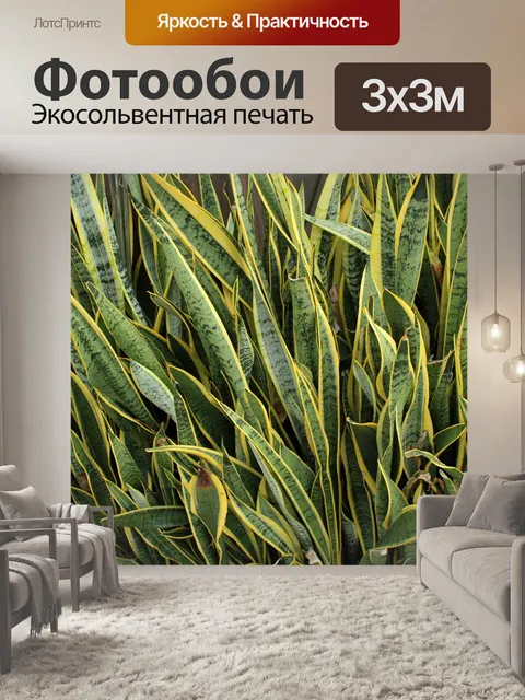 Фотообои зеленые длинные листья