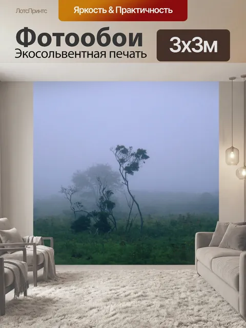 Фотообои Извилистые деревья