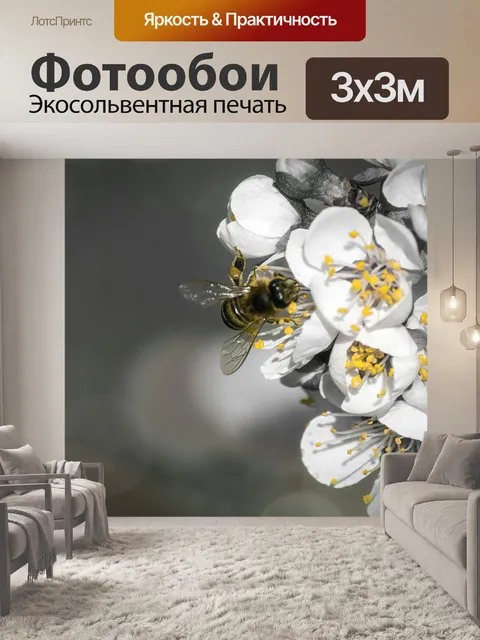 Фотообои Черный белый