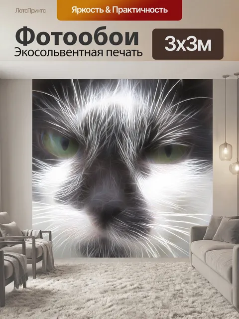 Фотообои Черно-белая кошка дома крупным планом