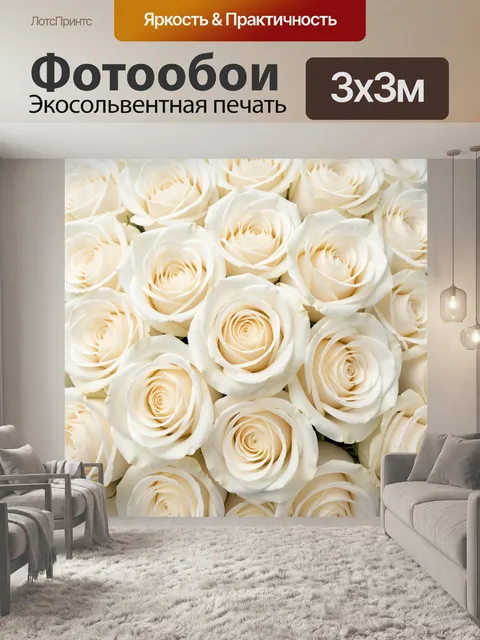 Фотообои Нежные белые розы крупным планом