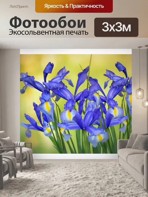 Фотообои Цветок ириса