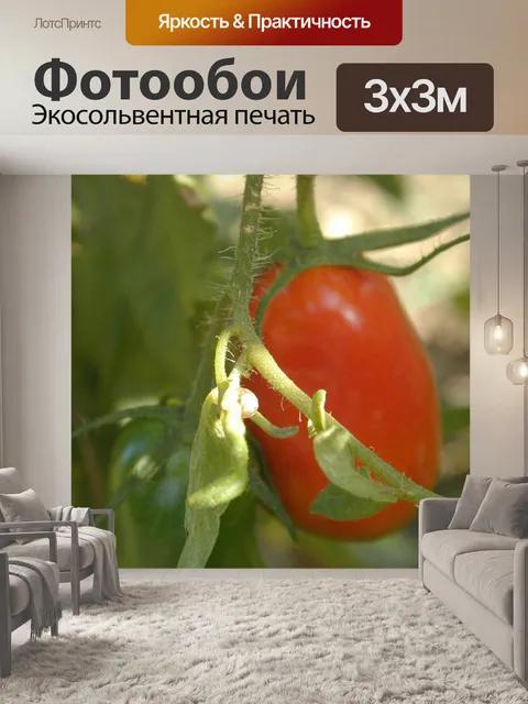 Фотообои Томатный 2