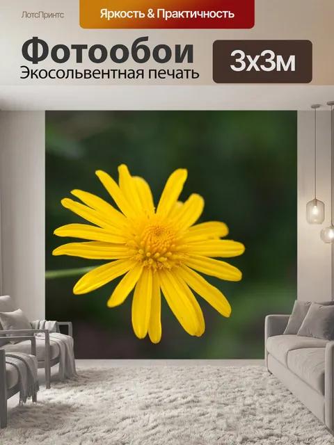 Фотообои Цветок Макро