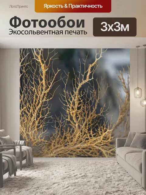 Фотообои Коралл