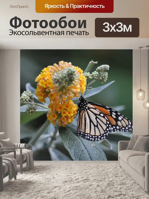 Фотообои Бабочка монарх Восхождение Цветы