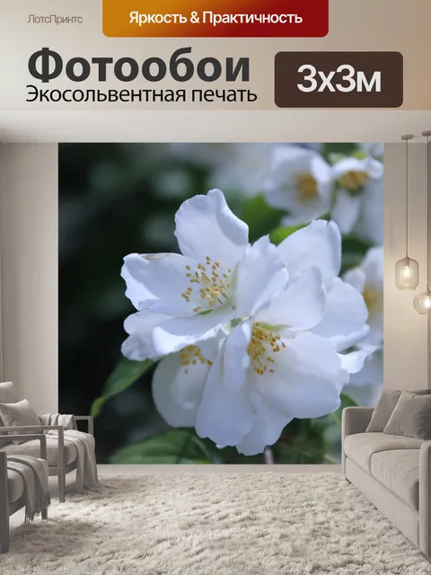 Фотообои Макет апельсина