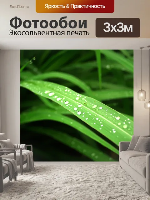 Фотообои Капля воды на листе