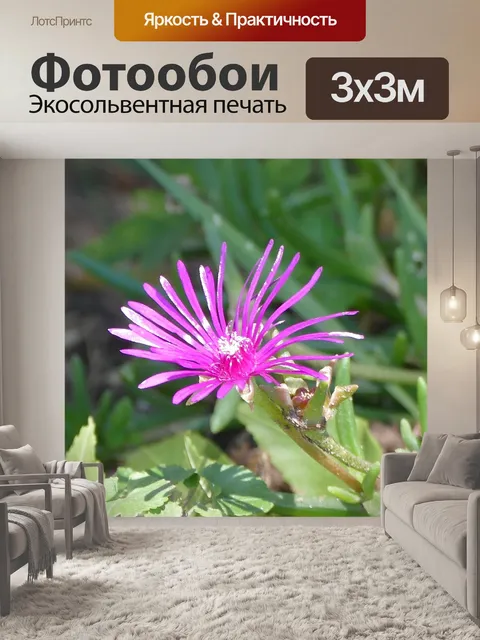 Фотообои Цветок