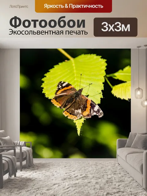 Фотообои Бабочка сидит на листке