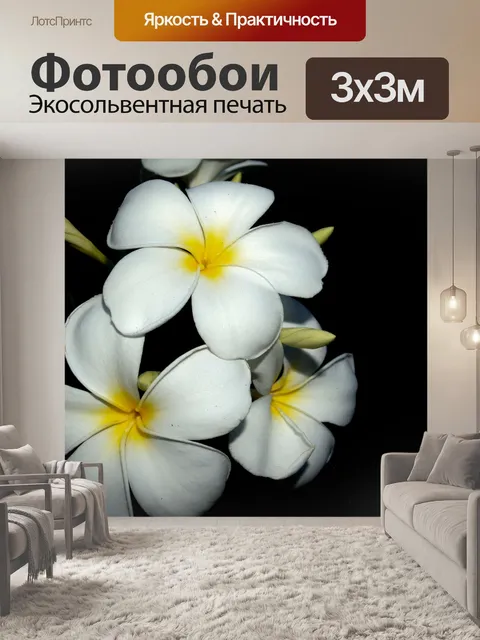 Фотообои Плюмерия Цветы