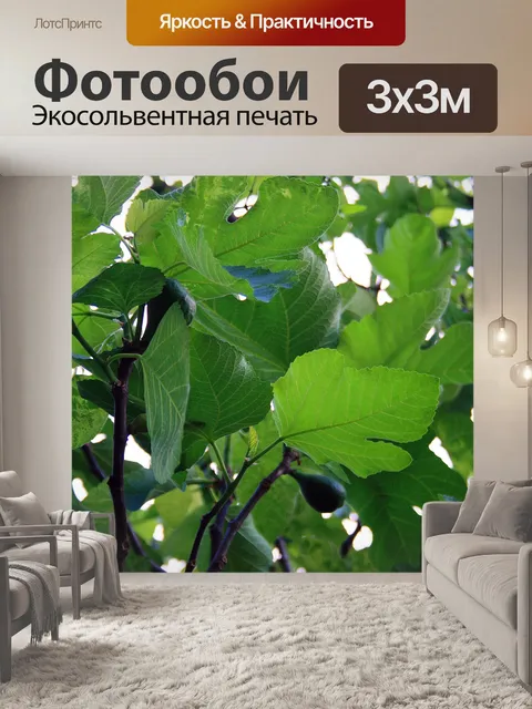 Фотообои зеленые листья инжира