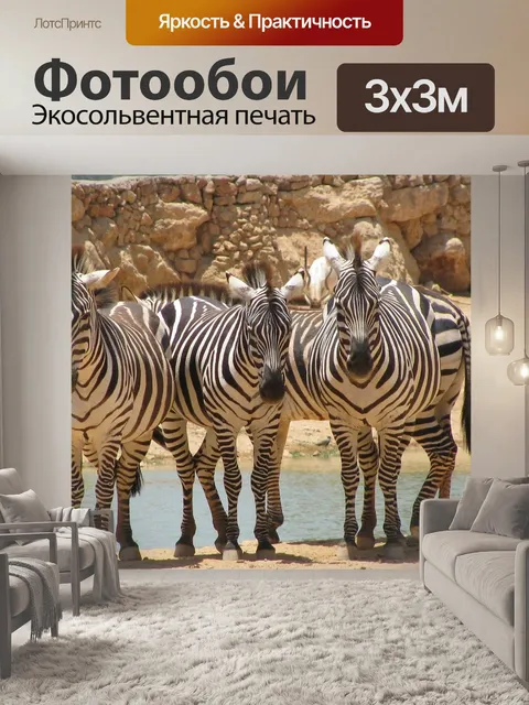 Фотообои Зебра