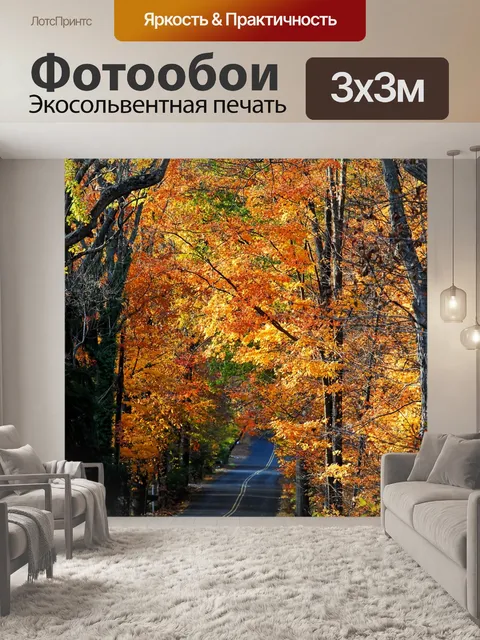 Фотообои Проселочная дорога